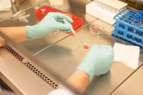 CPD_2016_foto_martinvlcek.com_33